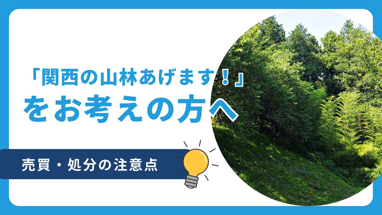 関西の山林あげます！」という方へ売買・処分注意点を解説 | 不動産引取りセンター